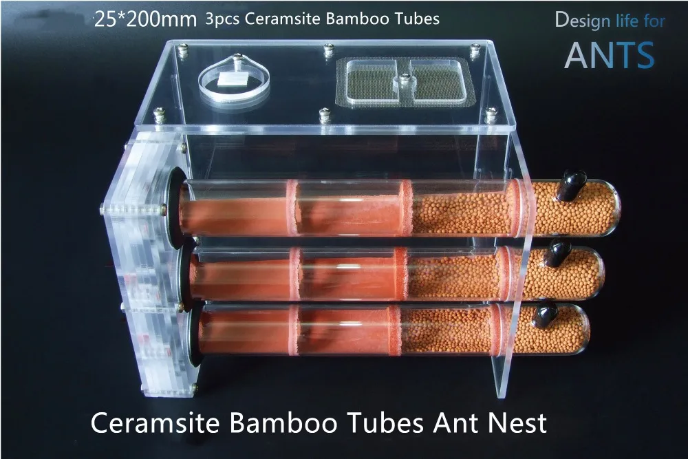 3pcs-bamboo-ant-nest (2)