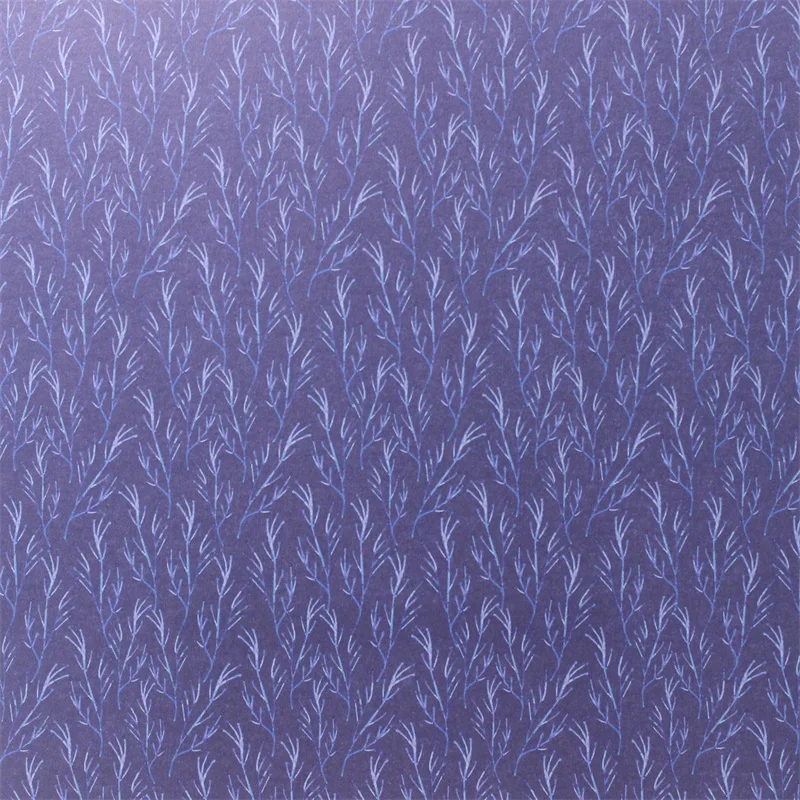 16 (6)