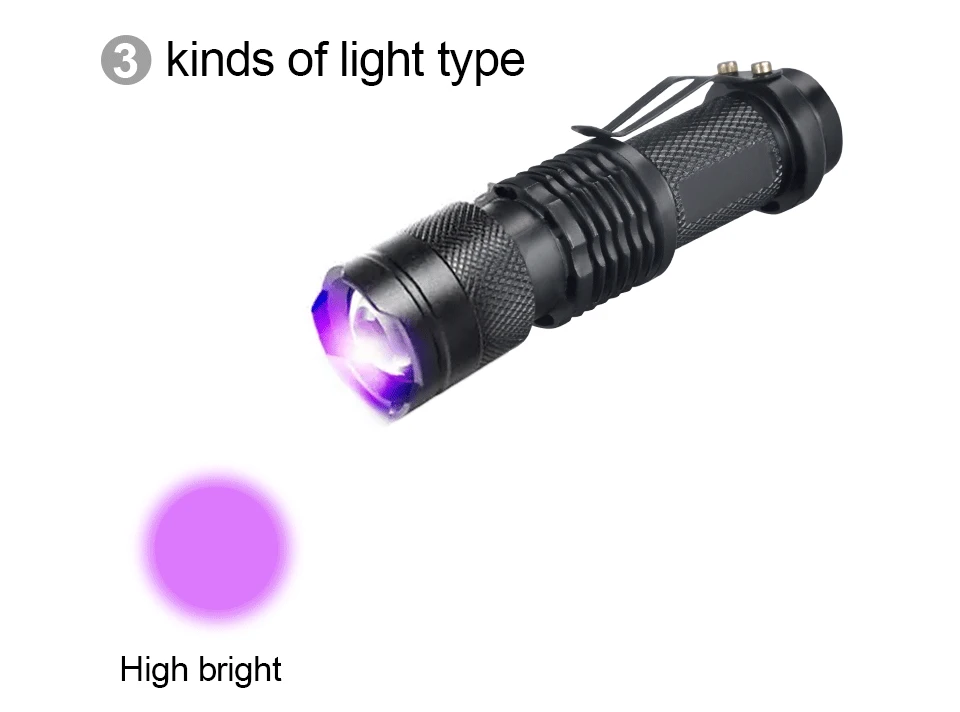 8843843438_272458638