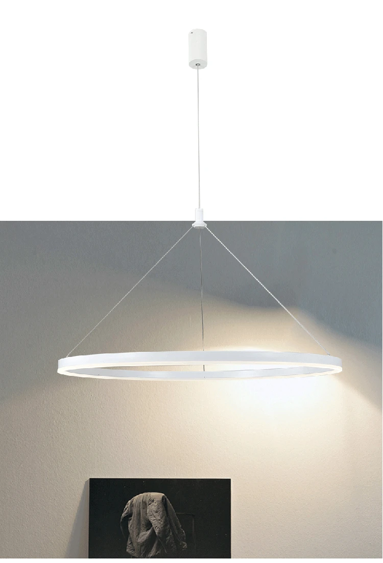 Circle Pendant lamp 05