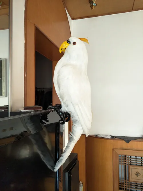 

large 45cm white parrot model polyethylene & feathers parrot handicraft,garden decoration gift A0689
