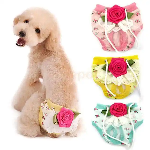 period nappies for dogs