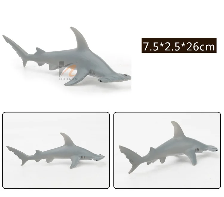 8733869389_1928765868