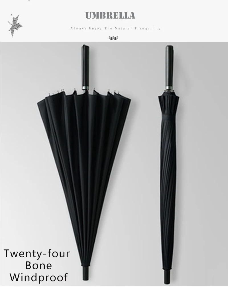 Transparent Umbrella (2)