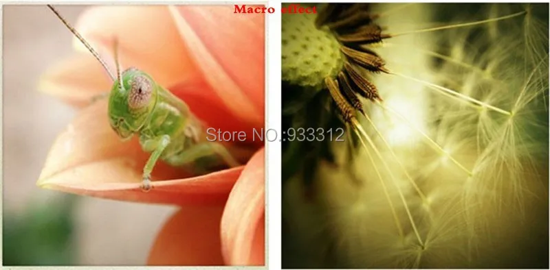 38E89760179ED4E0D1FB68131FA2BC87