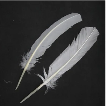 

Wholesale 100pcs natural WHITE feather Turkey feathers APPOX 30cm / for Decoration