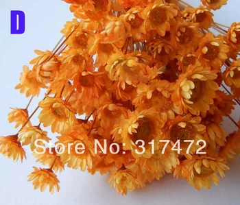 

Freeshipping! Orange dry flower stuff fit glass vials glass bottle glass dome glass bubble