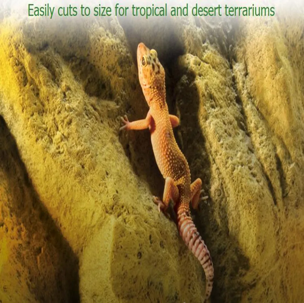 Террариум из полистирола 3d фон с изображением рок Gecko Lizard для черепах рептилий