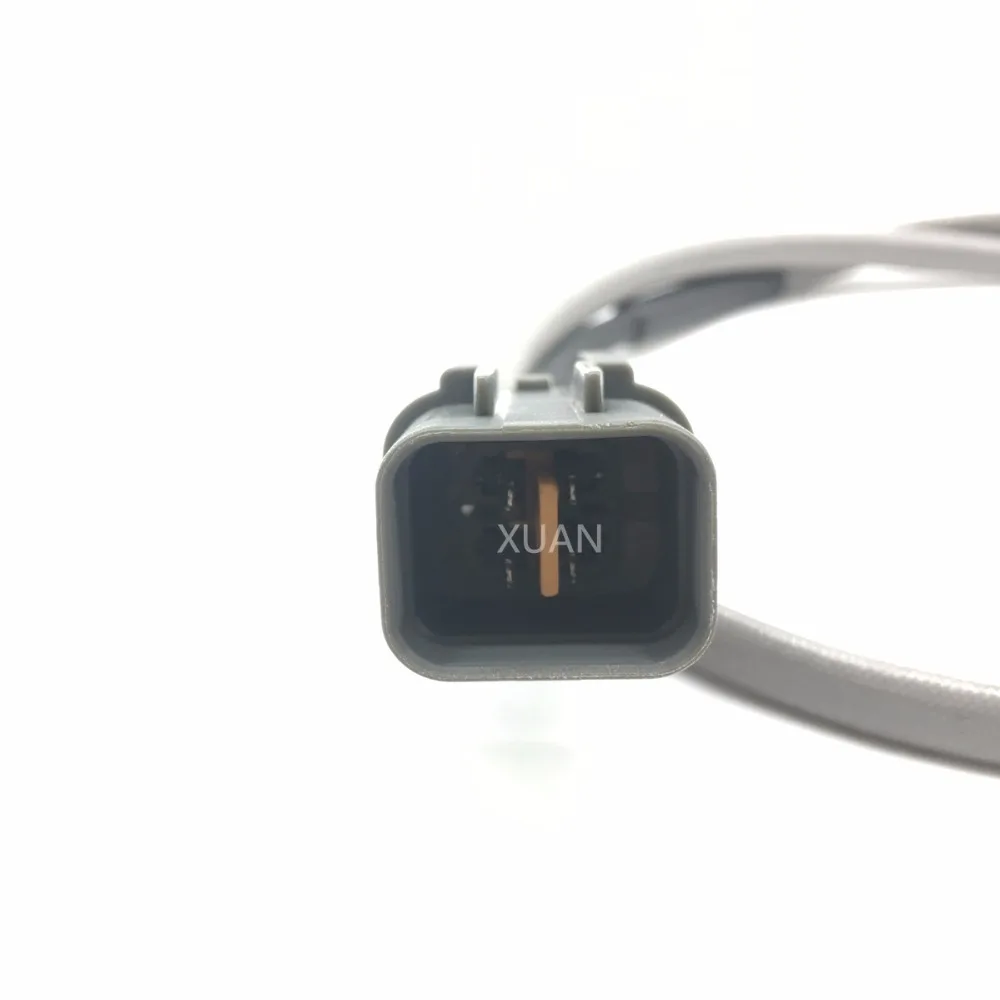 MN153036 (3)