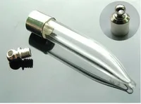 Free-ship-100pieces-hot-pepper-screw-cap-charm-vial-necklace-pendant-Miniature-Wishing-Bottle-current-bottle.jpg_200x200