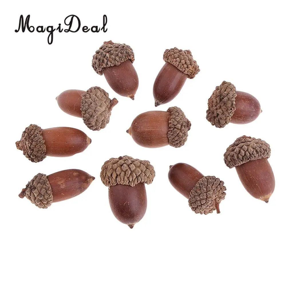 40Pcs Small Natural Pine Cones Acorns In Bulk Dried Flowers Table Ornament for Home Christmas Decoration DIY Craft