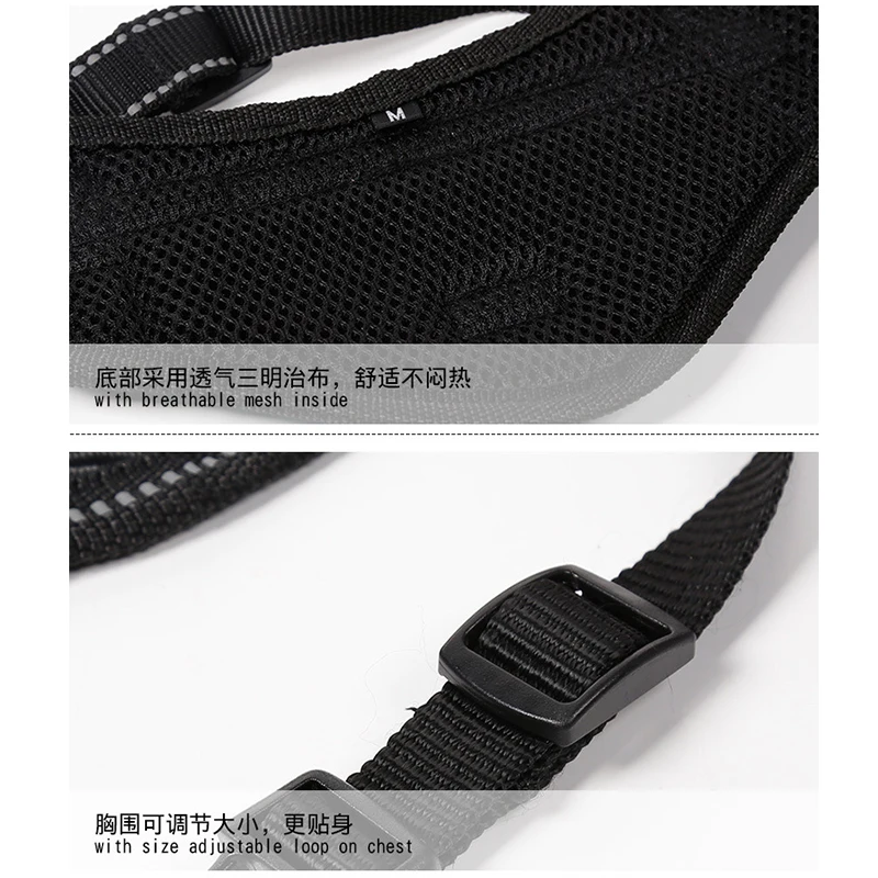 Harnesses-12-16