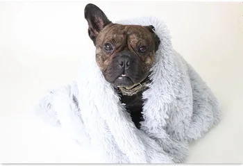 Super Cozy Fleece Pet Blankets  5