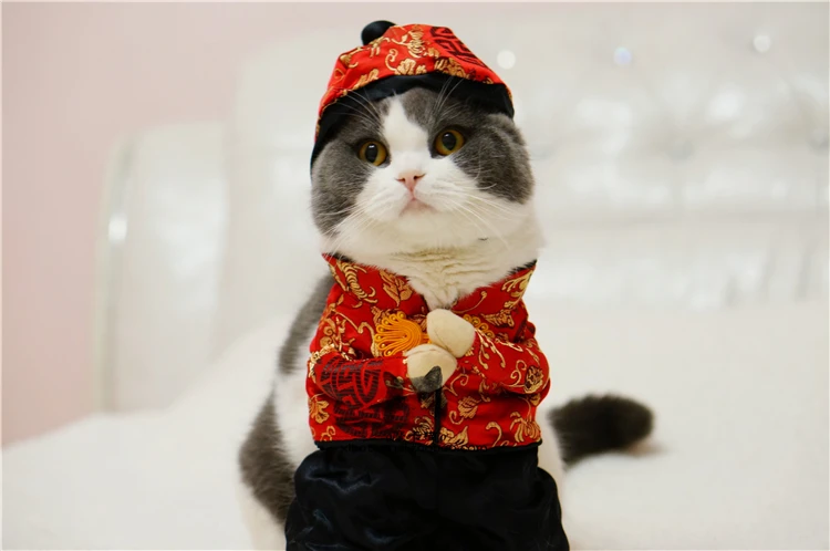 QQ20171221095417