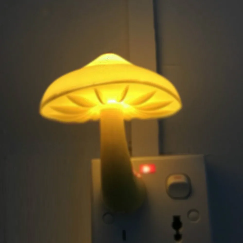 65766