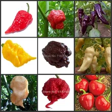 World’s Hottest Pepper-Тринидад Скорпион Моруга Перец Семена Овощных Культур (100 СЕМЕНА)