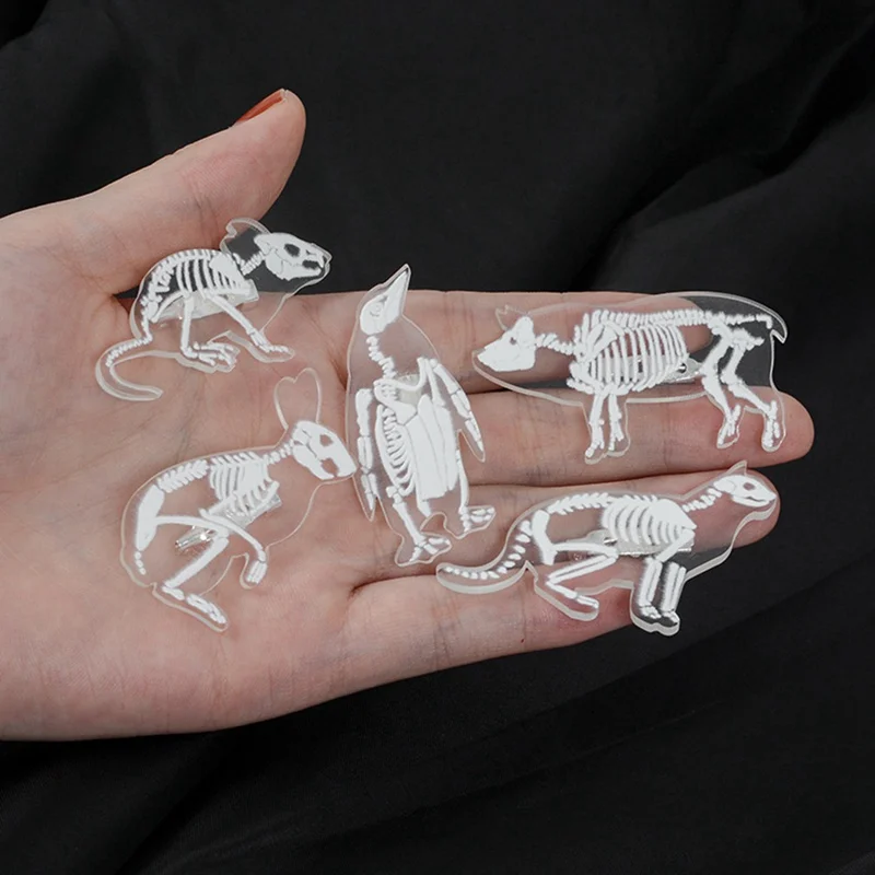 

Transparent Animal Pig Cat Penguin Rabbit Animal Resin Brooch Pin Badge Animal Skeleton Brooch For Women Men