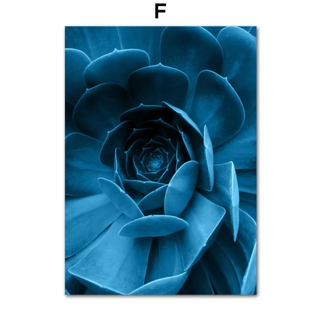 Ice-Sea-Succulent-Plants-Forest-desert-Nordic-Posters-And-Prints-Wall-Art-Canvas-Painting-Wall-Pictures.jpg_640x640 (5)