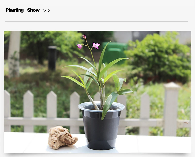 Meshpot 4 дюйма пластиковый прозрачный горшок с орхидеей с отверстиями, цветочный горшок плантатор для орхидеи контейнер для предотвращения гниения