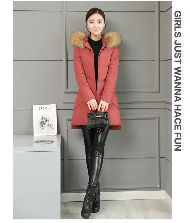 Jackets Women's Winter Long Jacket 2018 Cotton Padded Coat Women Fake Fur Collar Zipper Outwear Coats Female Slim Thick CH587 (17)