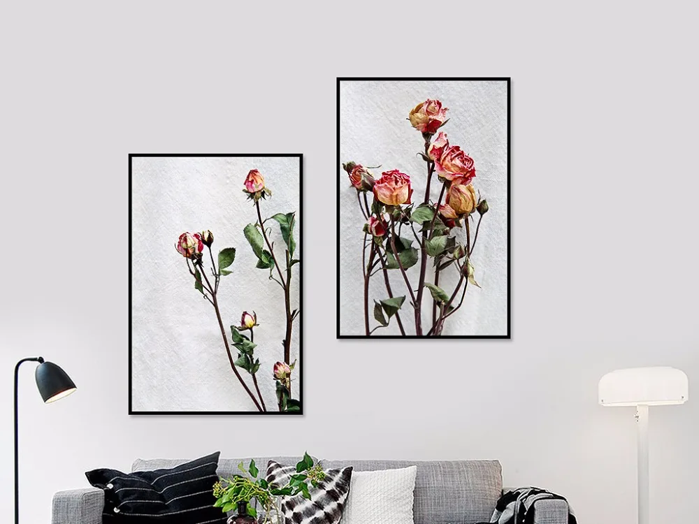 Rose flower flower plants minimalist minimalist painting original photography spray canvas
