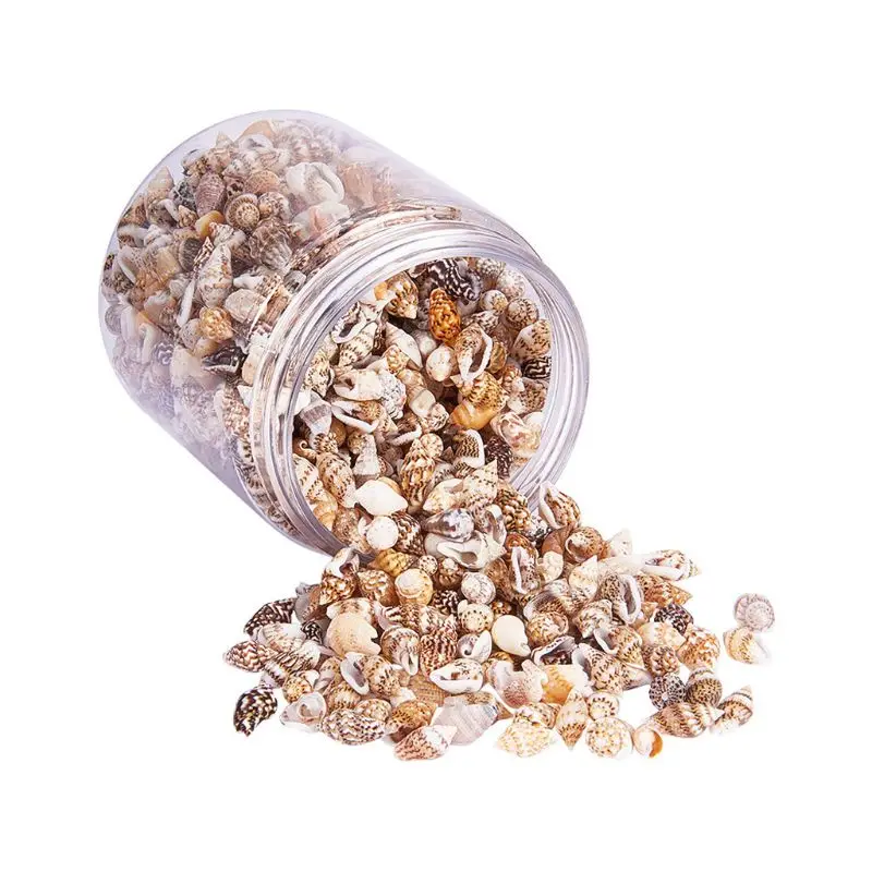 

Over 1300 Pcs Mini Natural Beige Shell Conch Beads Seaside Candle Crafts DIY Accessories Jewelry Making