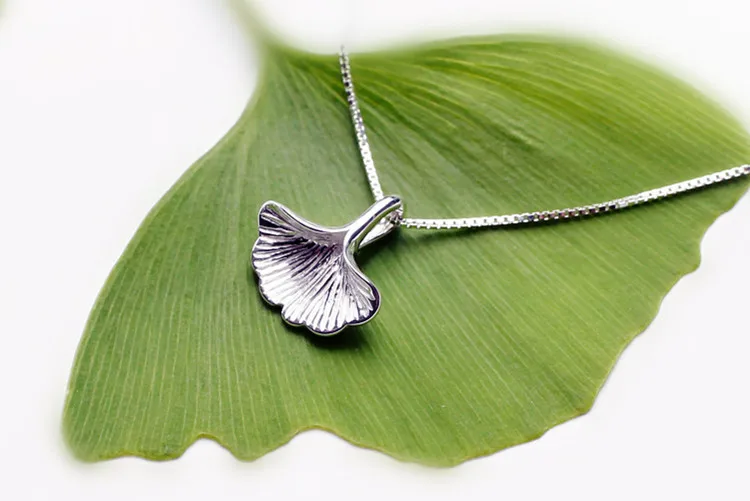 10088331037_1039125567