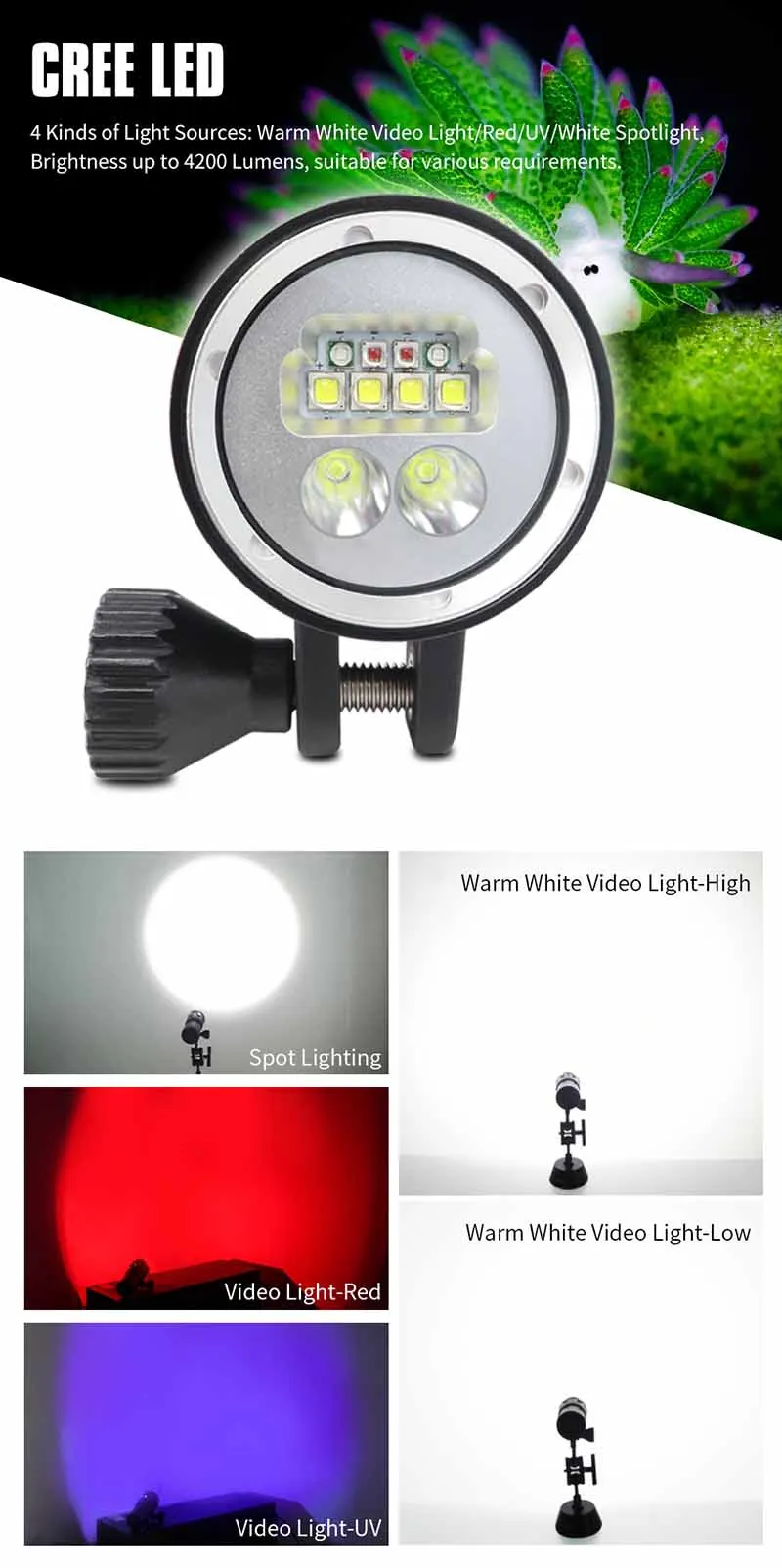 ARCHON W41VP II D35VP II фонарик для дайвинга 4200LM CREE L2 Красный СВЕТОДИОДНЫЙ УФ подводные фонари для дайвинга фотографирование видео точечный свет