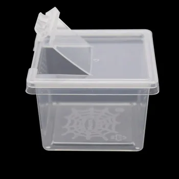 Transparent Insect Terrarium Box 1