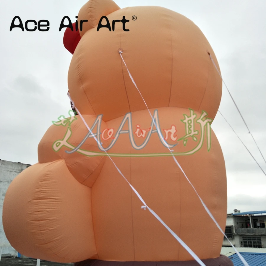 IMG20190116090256_