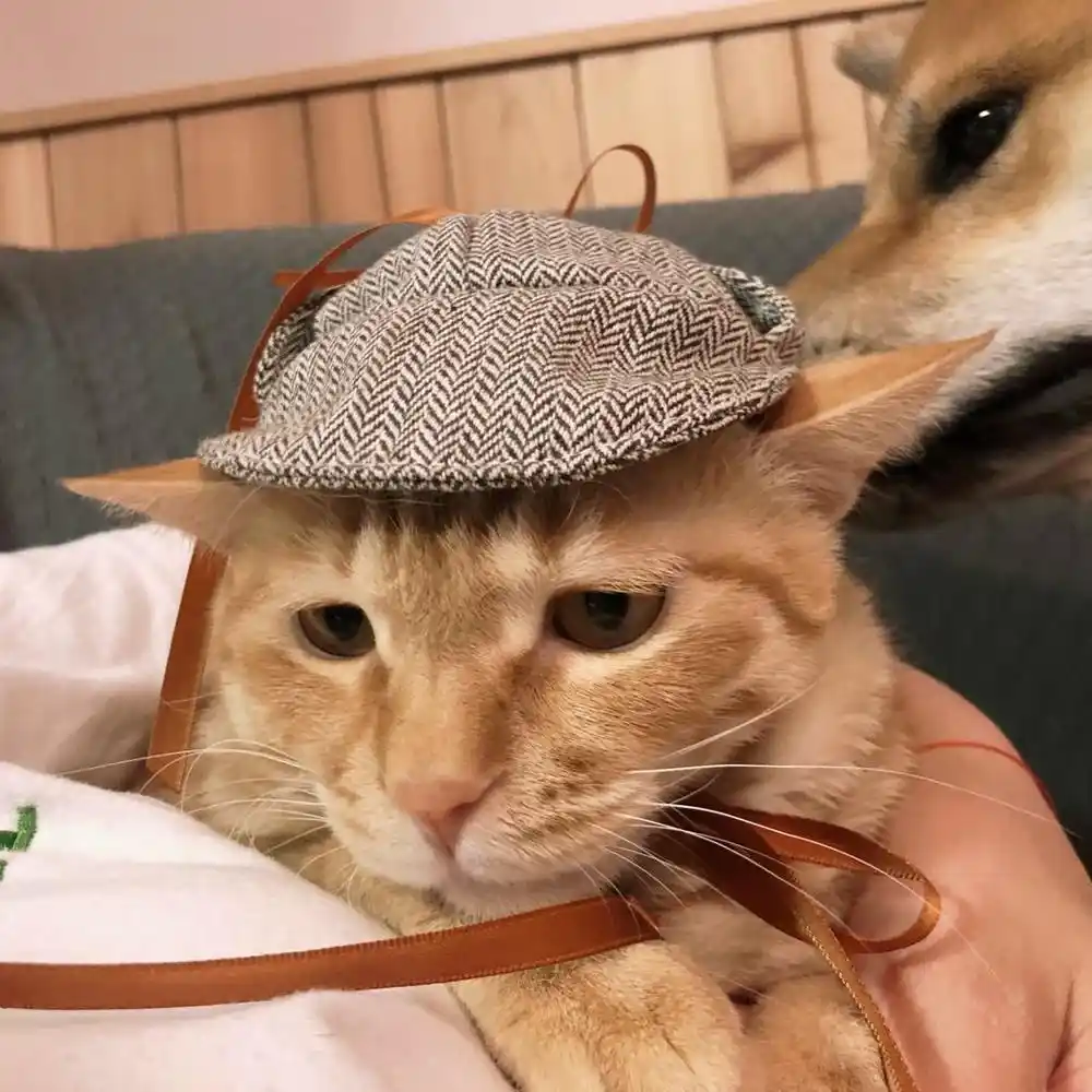 Nouveau Détective Pet Chapeaux Cosplay Pikachu à La Main