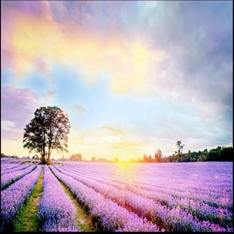 

wellyu Custom large - scale murals fantasy scenery Provence lavender Caiyun TV backdrop non - woven wallpaper papel de parede