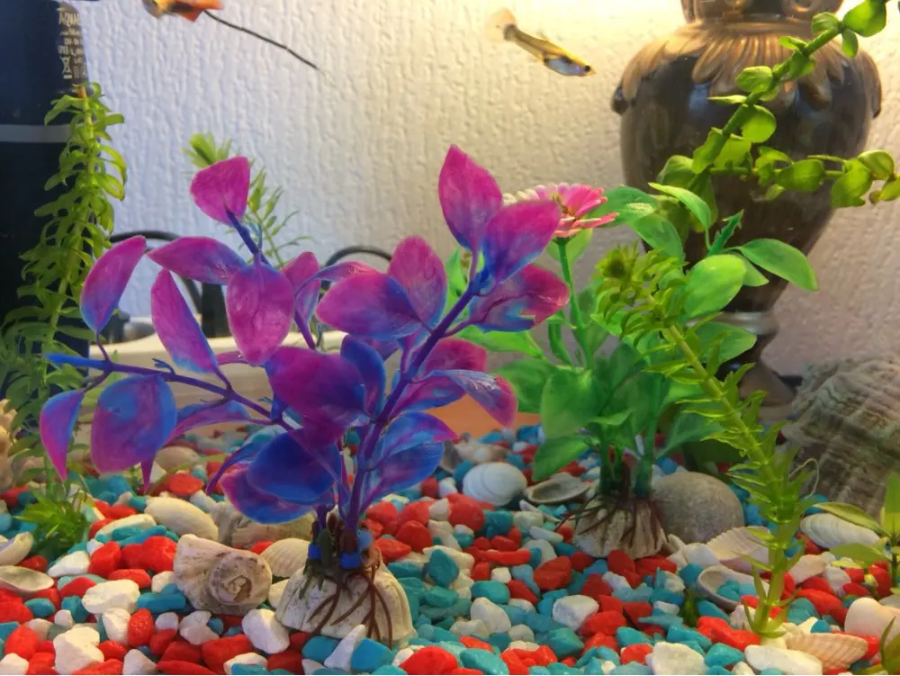 UT8TBkhX5NXXXagOFbXK