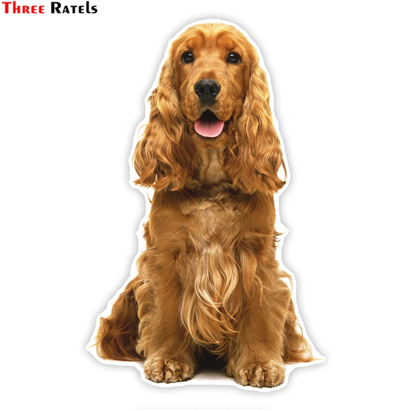

Three Ratels LCS001# 11X17cm cute cocker spaniel colorful car sticker funny car stickers styling removable deca