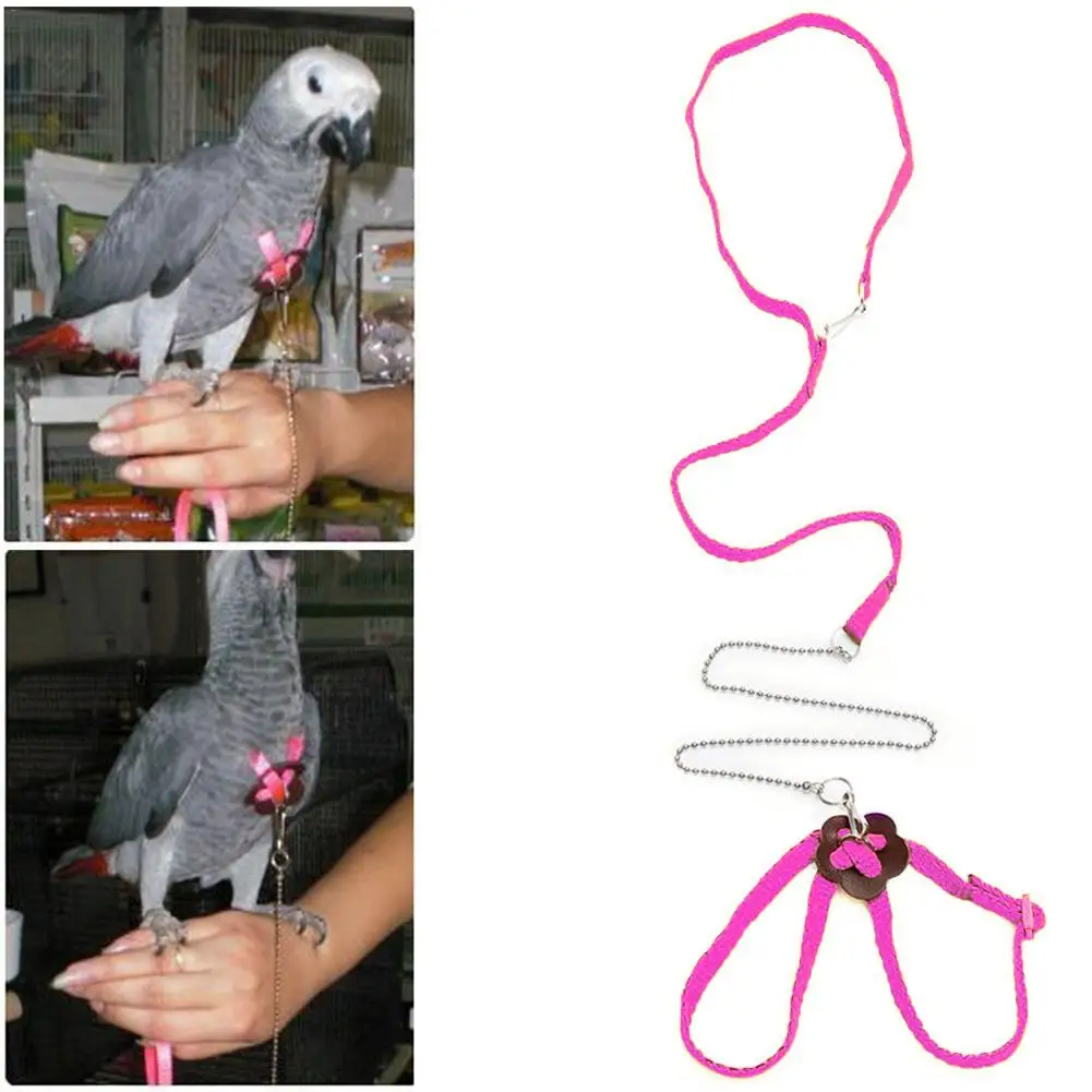 Регулируемый Тяговый ремень жгут поводок открытый веревка поводок для домашних животных Регулируемая шлейка для птицы для Cockatiel
