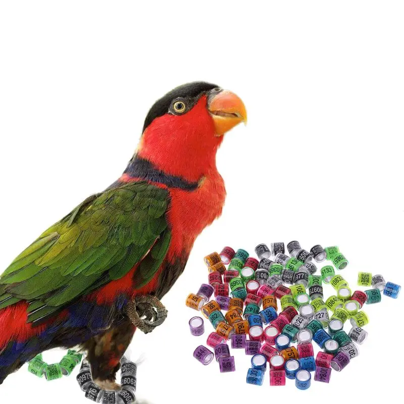 

20cs Pigeon Identify Dove Rings Leg Rings Bands Aluminium Foot Ring Training Tool