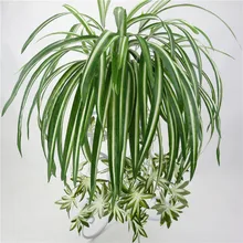 1pcs 65 ซม.สีเขียวประดิษฐ์ Chlorophytum Comosum Faux Greenery Home Garden ประดิษฐ์ผ้าไหมแมงมุมปลอมดอกไม้ Leave(China)