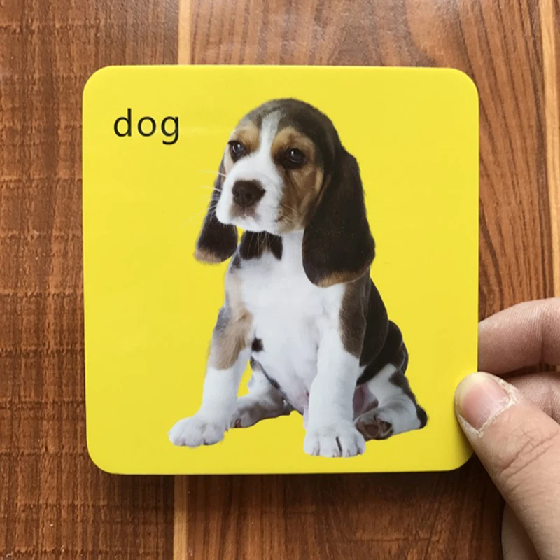 Peças do Corpo Educativos para Crianças Jogo da Palavra Cartão de Bolso Animal Início Inglês Aprendizagem Flash Cartão Brinquedos Crianças 44 Pçs - Set 5 Weddings & Events