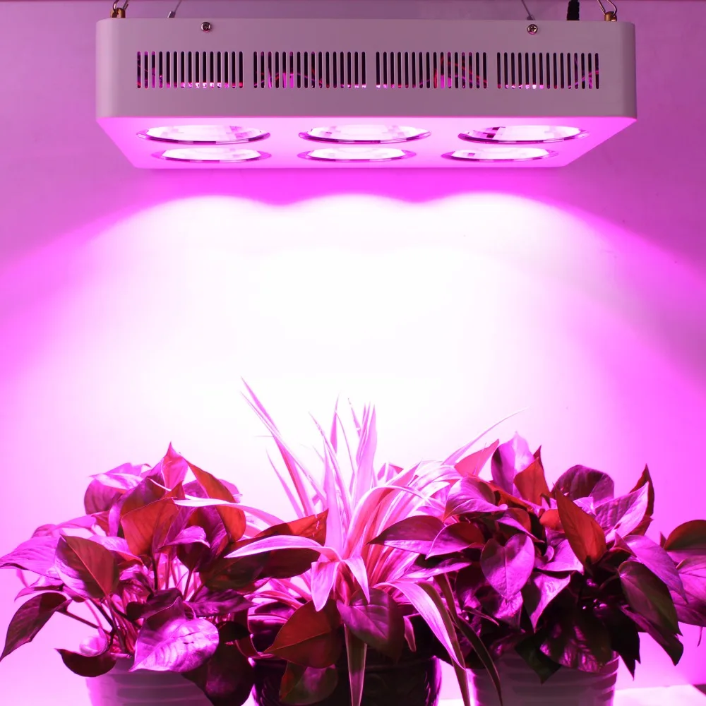 High Power 1200w COB Full Spectrum Led Grow Light Best Hydroponic Light Kit for Maximum Yield