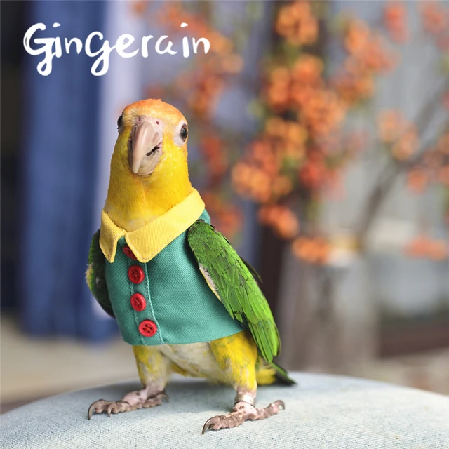 Gingerain Bird Clothes Parrot Button Shirt Original Handmade Custom