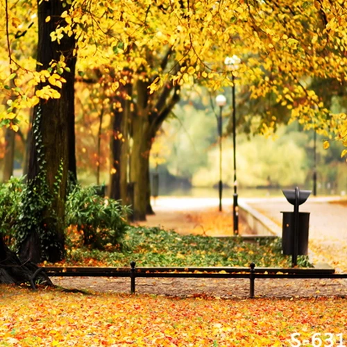 10x10FT Gold Trees Leaves Park Fence Road Lamps Autumn