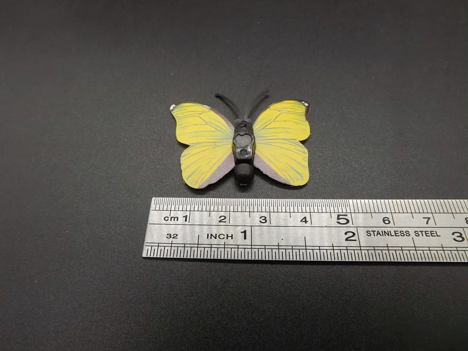 I259-Butterfly (13)