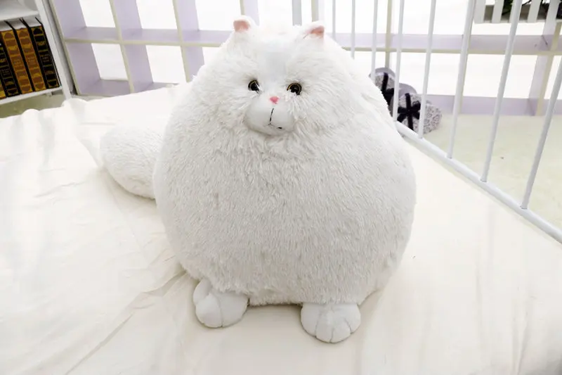 17555