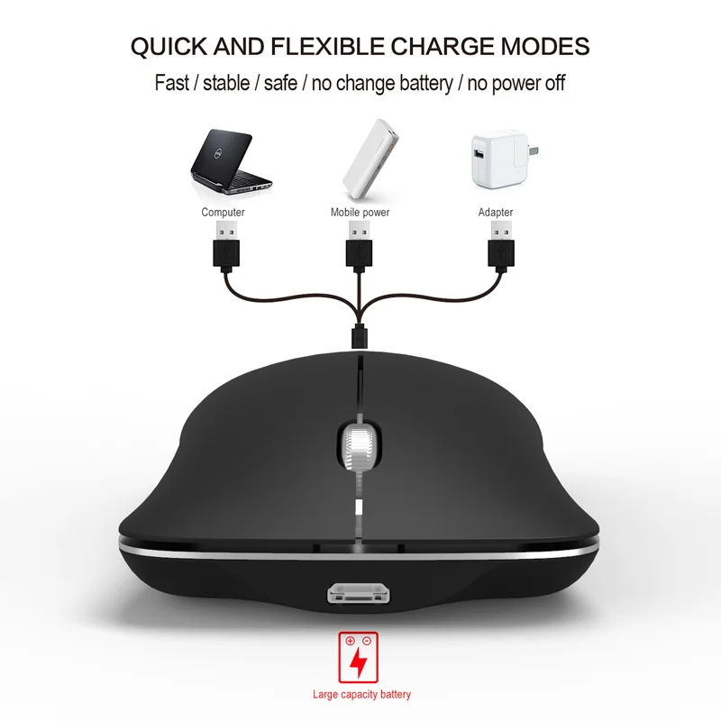 15 Due model mouse