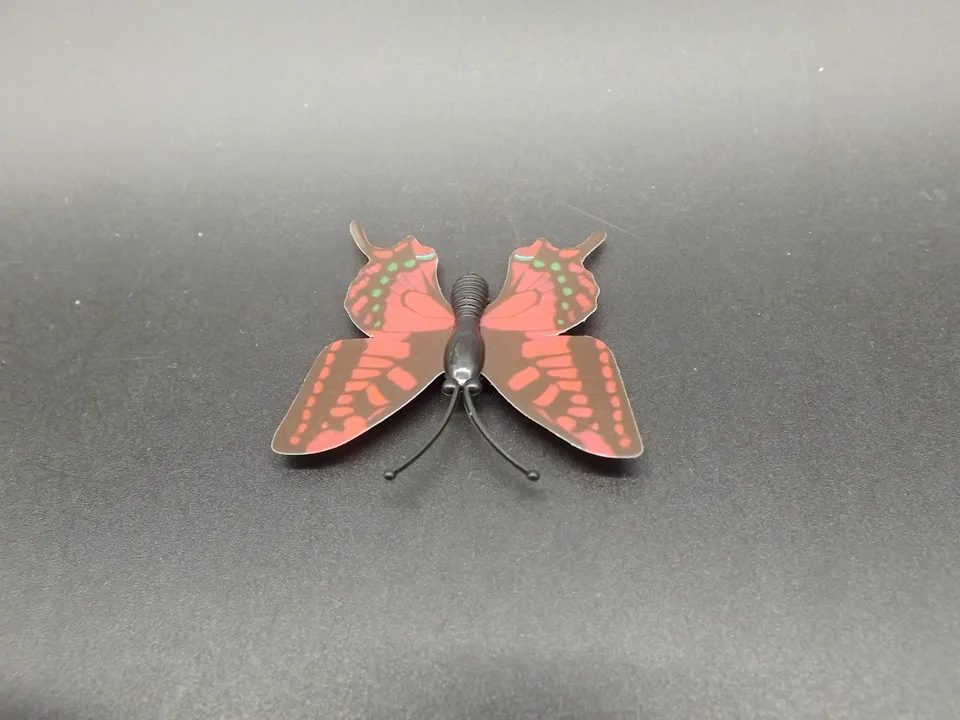 I245-Butterfly (8)