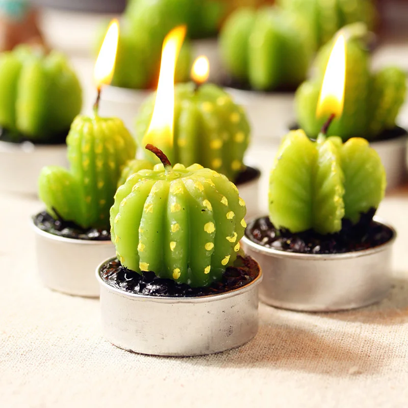 6 шт./лот мини Кактус свечи tealight фруктовые растения в горшке парафин домашний