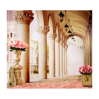 

Vinyl backdrops Printed photography background Customized for photo studio cm-6262