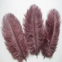 Красивые коричневые страусиные перья 10 шт длина 6-8 дюймов/15-20 см DIY костюм и шляпа сценическое украшение