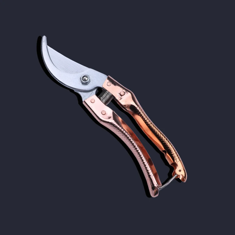 //ae01.alicdn.com/kf/HTB1.N7uXsfrK1RkSnb4q6xHRFXao.jpg