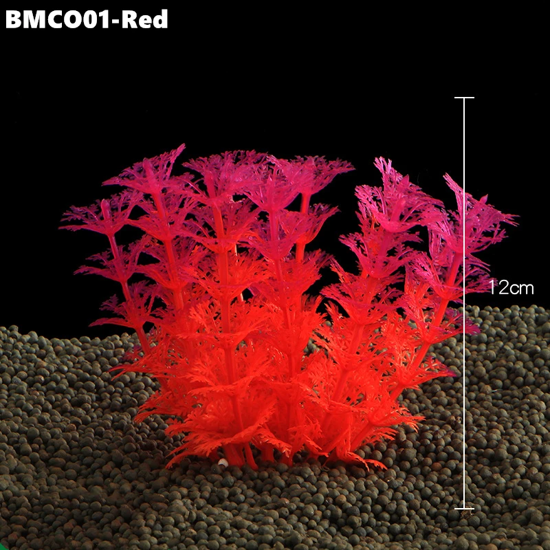 BMCO02 (8)